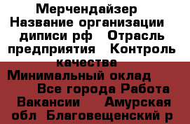 Мерчендайзер › Название организации ­ диписи.рф › Отрасль предприятия ­ Контроль качества › Минимальный оклад ­ 20 000 - Все города Работа » Вакансии   . Амурская обл.,Благовещенский р-н